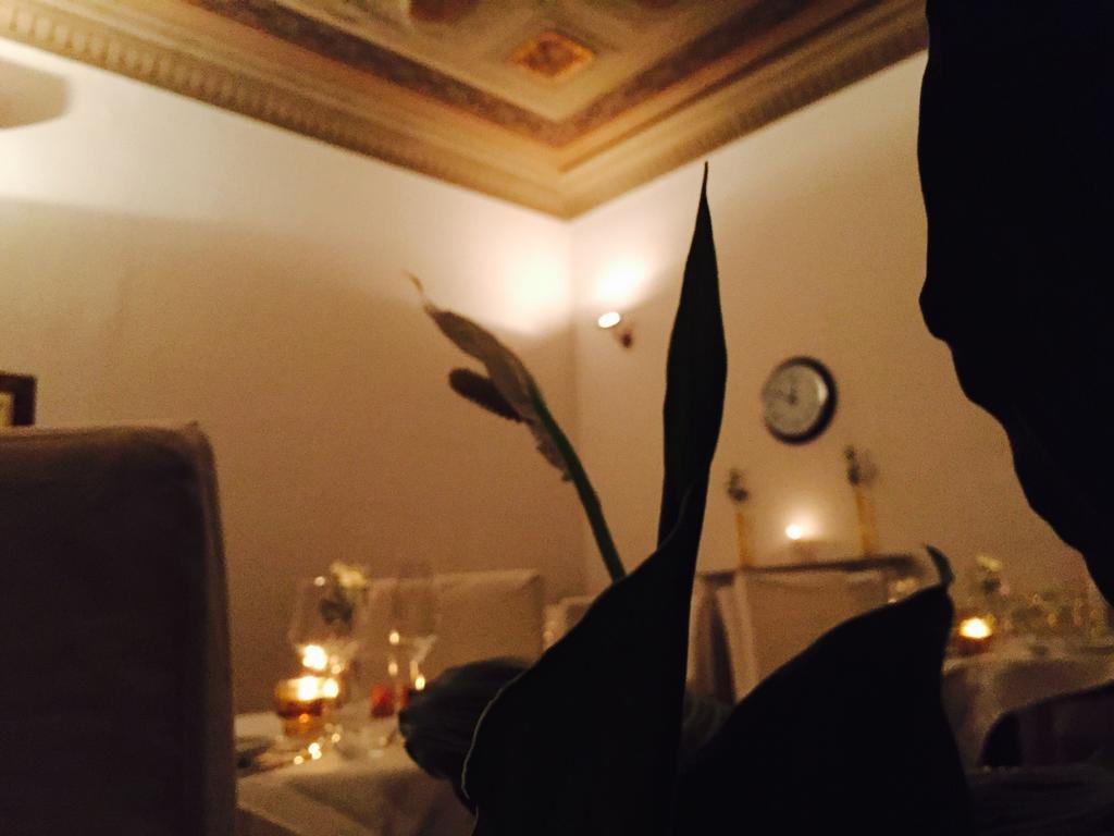 Home Restaurant Hotel Florence Bilik gambar